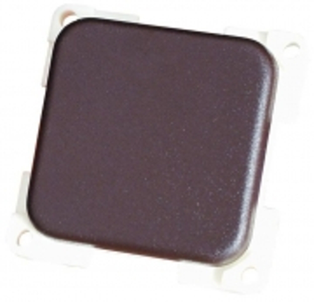 CBE Single Switch- 240 Volt -15Amp