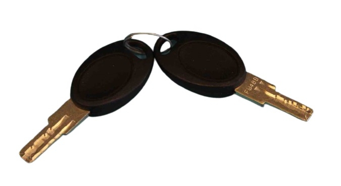 Spare Keys for RVG980/RVG180 Door ZWO/HSC/RVO207