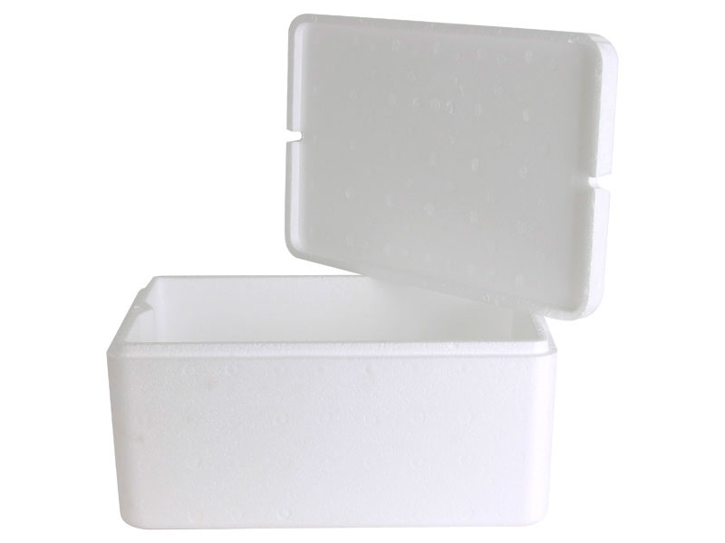 Polystyrene Chilly Bin Small 15L 