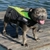 Hutchwilco K9 Mariner Pet Life Vest Hi-Viz Yellow/Black M