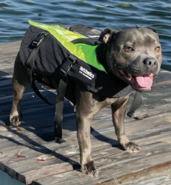 Hutchwilco K9 Mariner Pet Life Vest Hi-Viz Yellow/Black XL