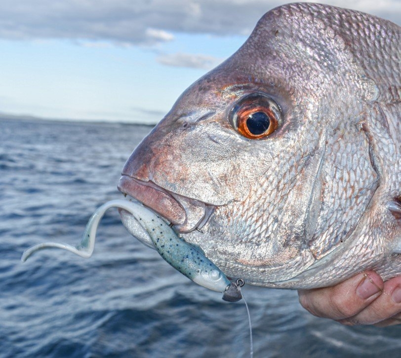 Berkley Gulp Nemesis Soft Bait 12.5cm Qty 5