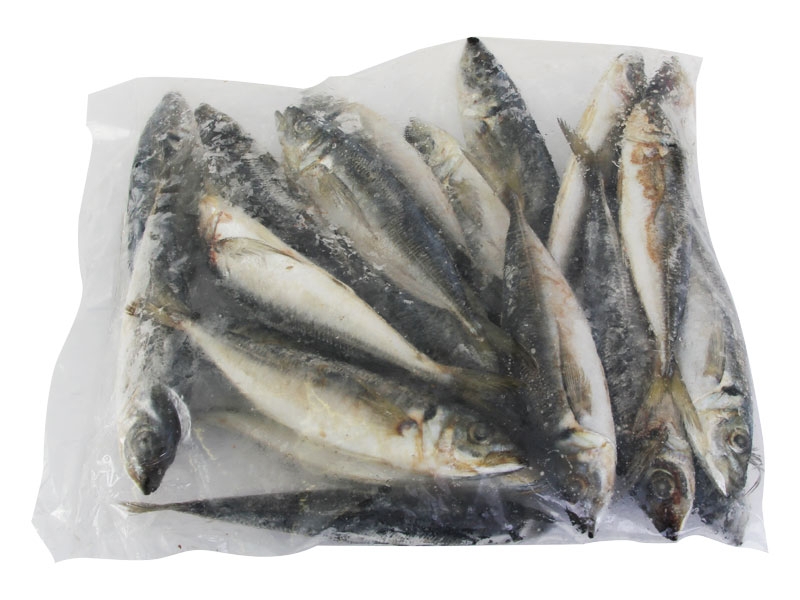 Salty Dog New Zealand Jack Mackerel 5kg Freeflow Box