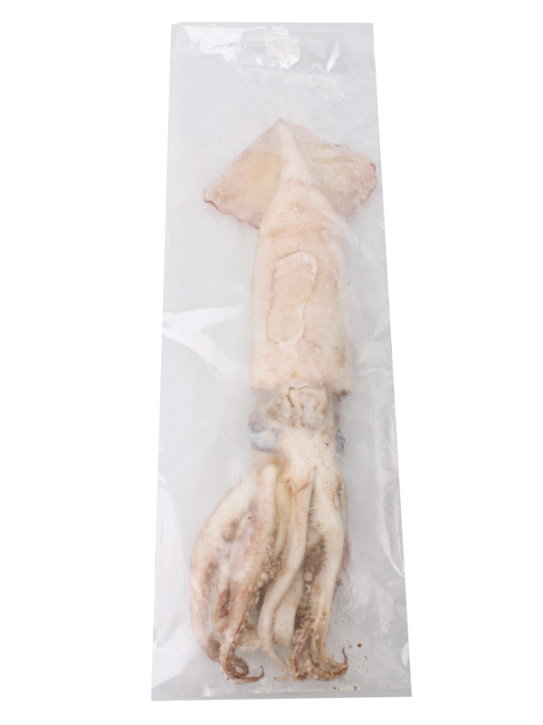 Salty Dog Broadbill Arrow Squid XL 400g