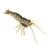 Savage Gear TPE Panic Shrimp Soft Bait Brown