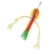Squidnation That Flippy Floppy Thing Daisy Chain Rasta and Glow