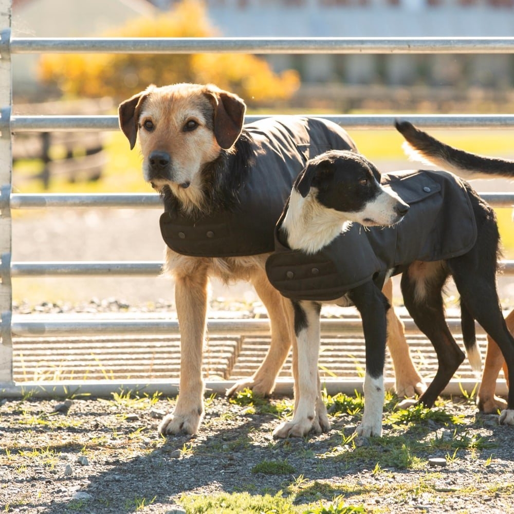 Styx Mill Oilskin Lined Dog Coat Brown