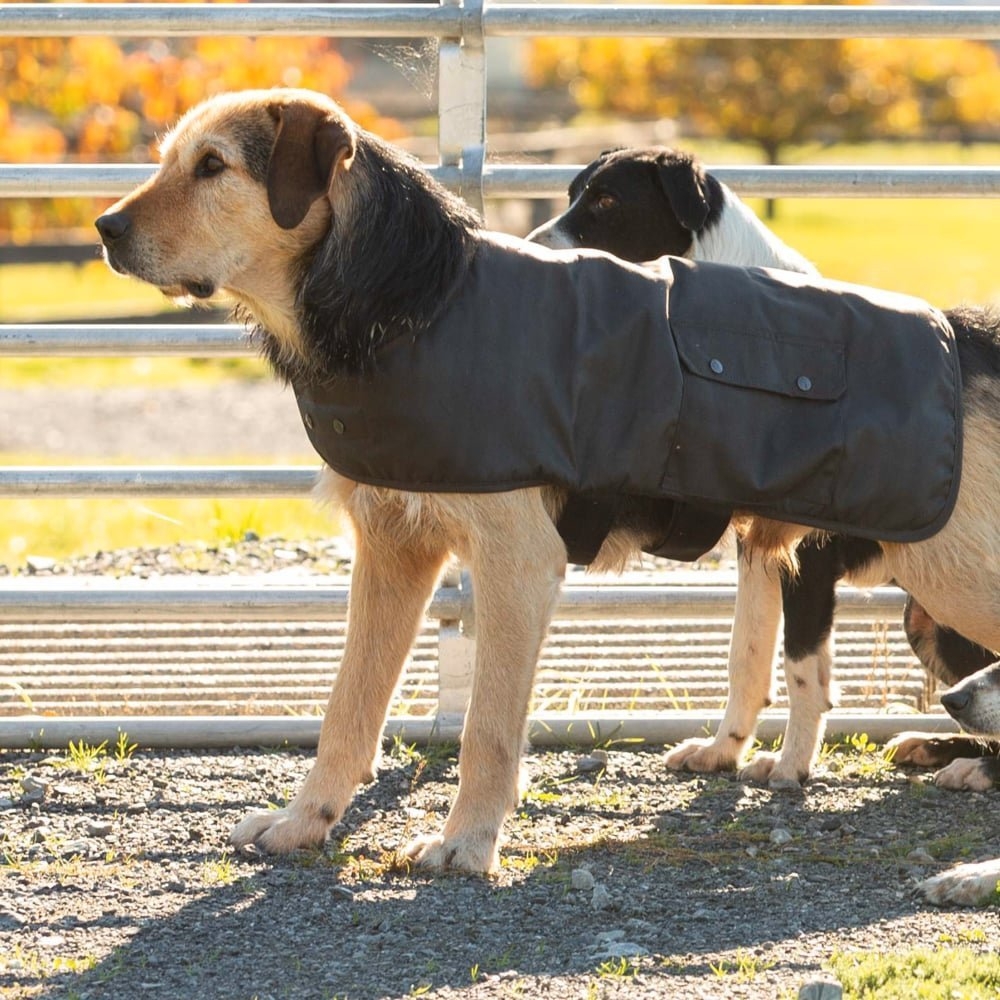 Styx Mill Oilskin Lined Dog Coat Brown