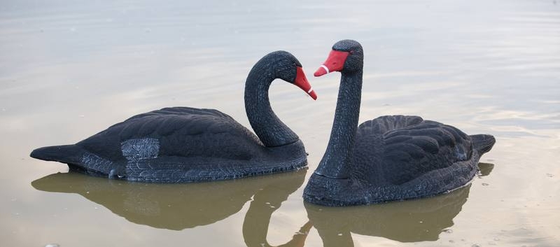 Game On Floating Black Swan Decoy 2 Pack 34in