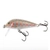 Rapala CountDown CD-7 Sinking Lure 7cm Balsa Juvenile Rainbow Trout