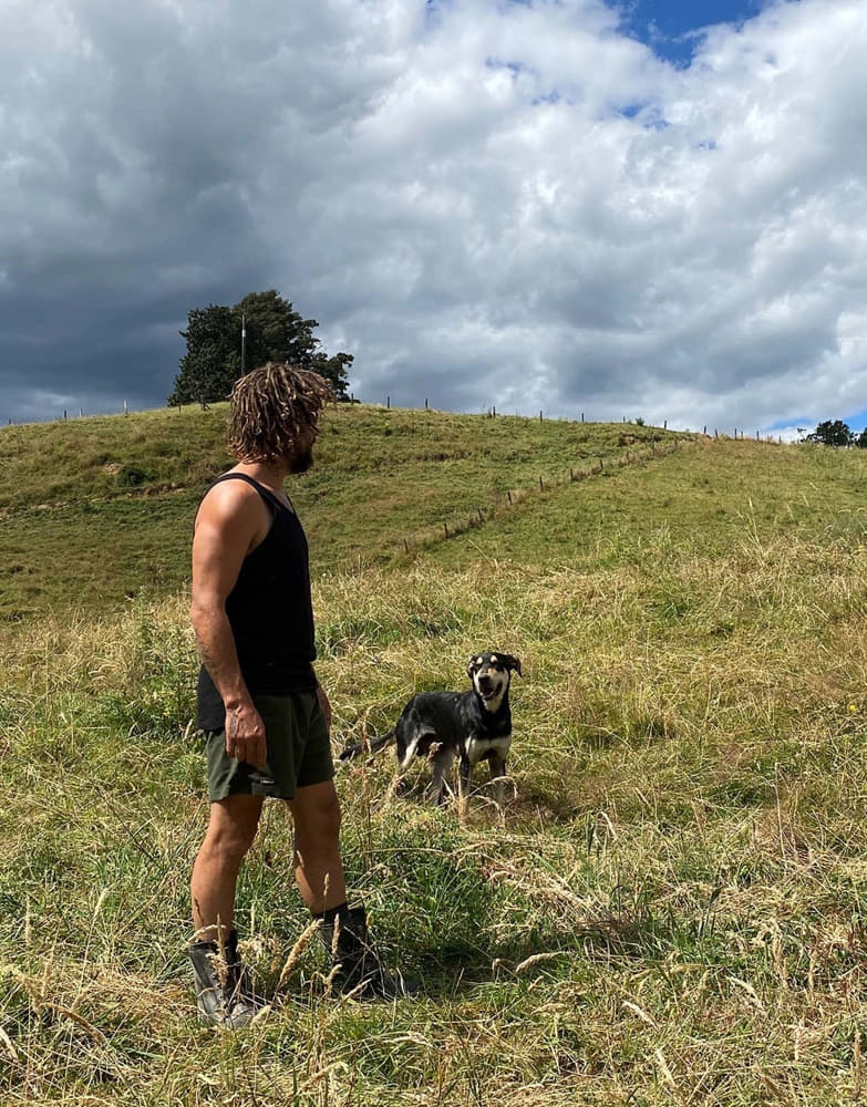 Swazi Trojans Shorts