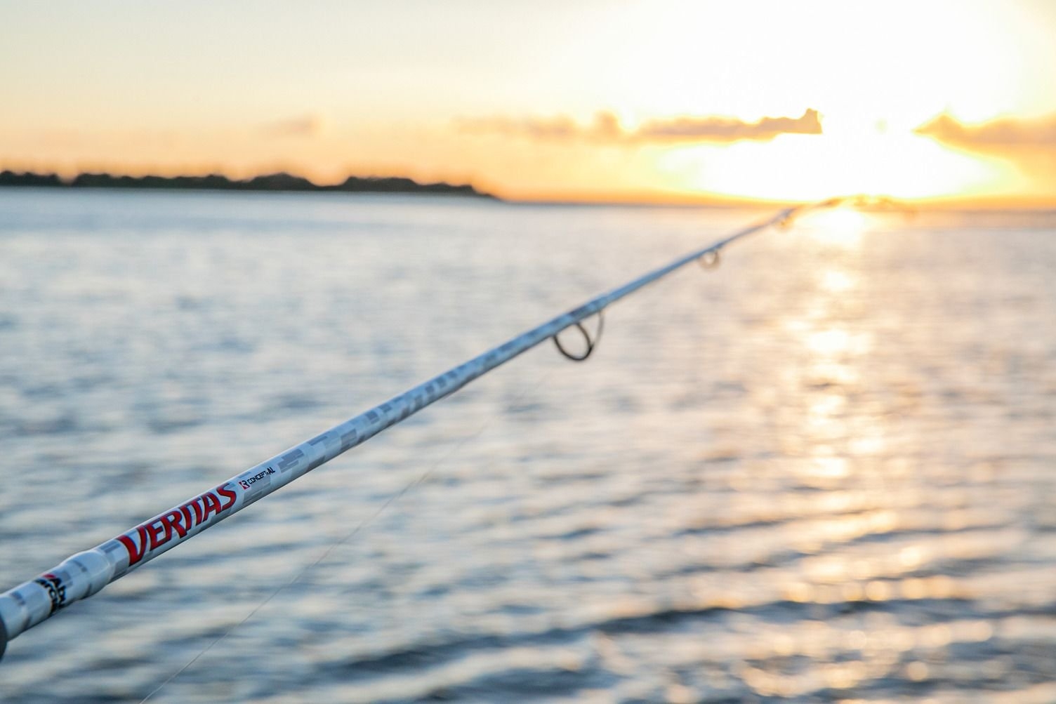 Abu Garcia Veritas 4.0 Spinning Rock Rod 10ft 10-15kg 2pc