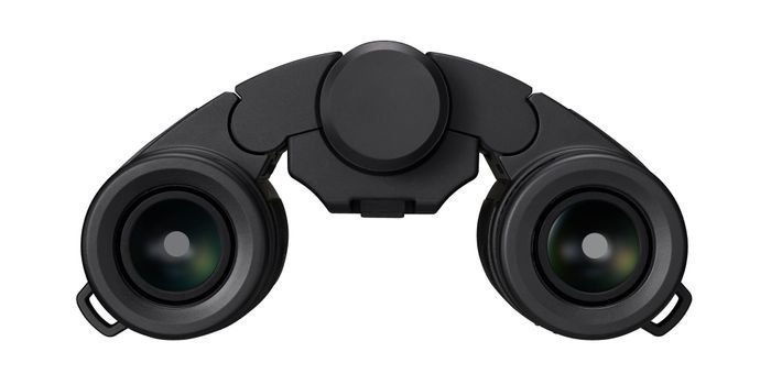 Nikon Stabilized Binoculars 10x25 S
